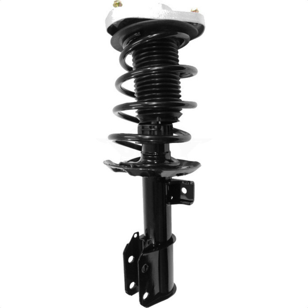Suspension Strut Coil Spring Assembly