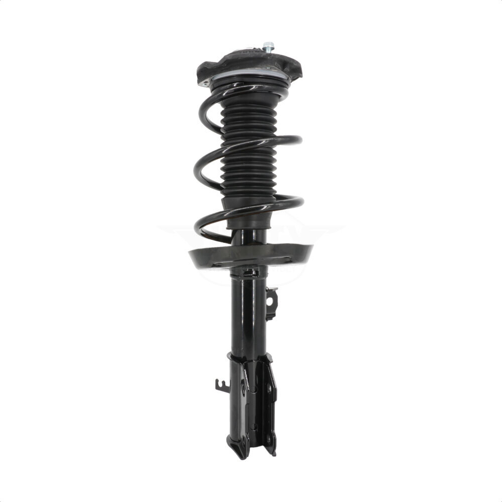 Suspension Strut Coil Spring Assembly
