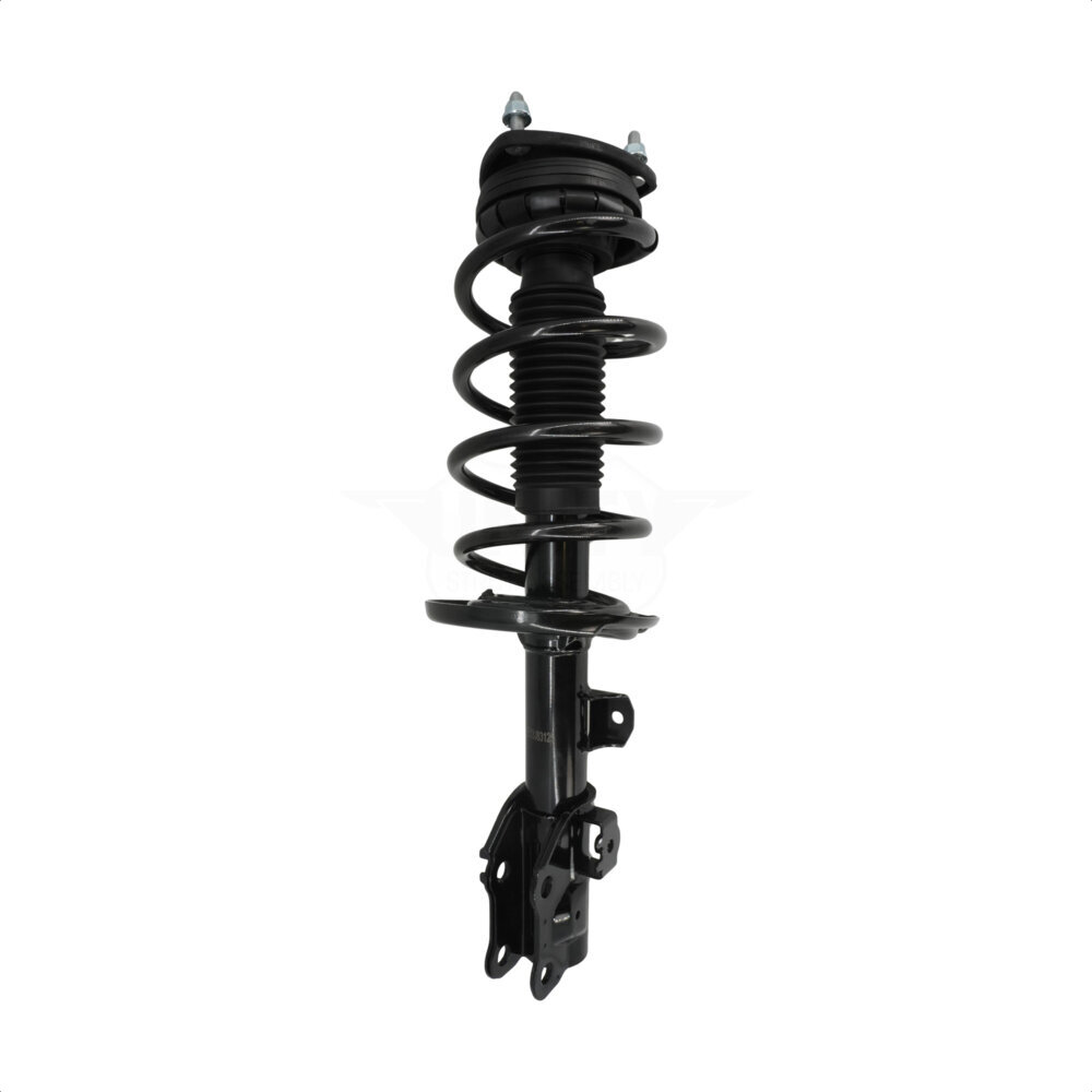 Suspension Strut Coil Spring Assembly