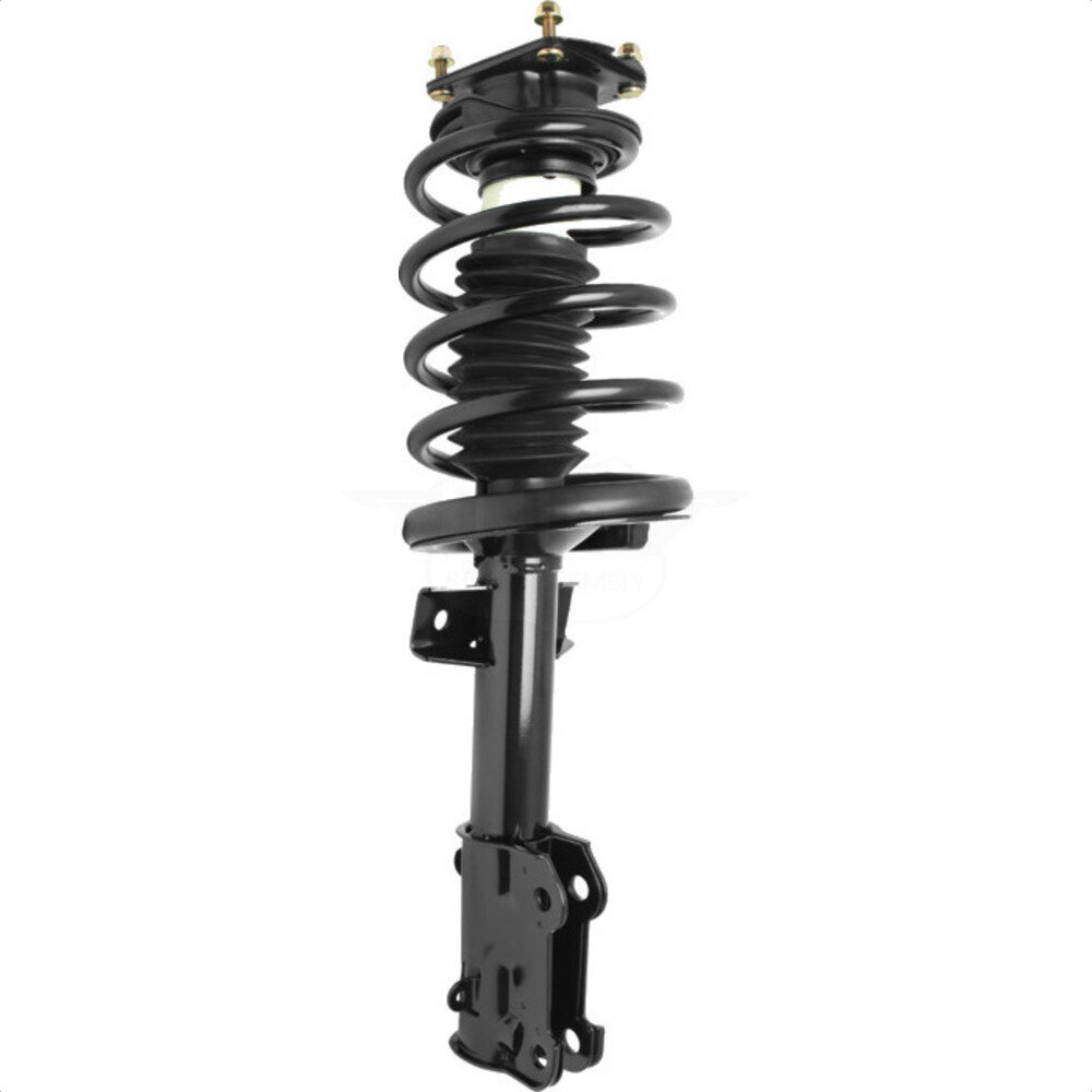 Suspension Strut Coil Spring Assembly