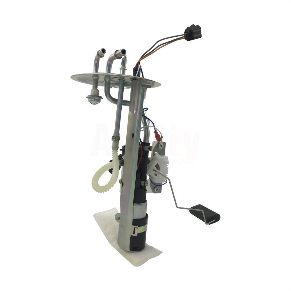 Fuel Pump Sender Assembly