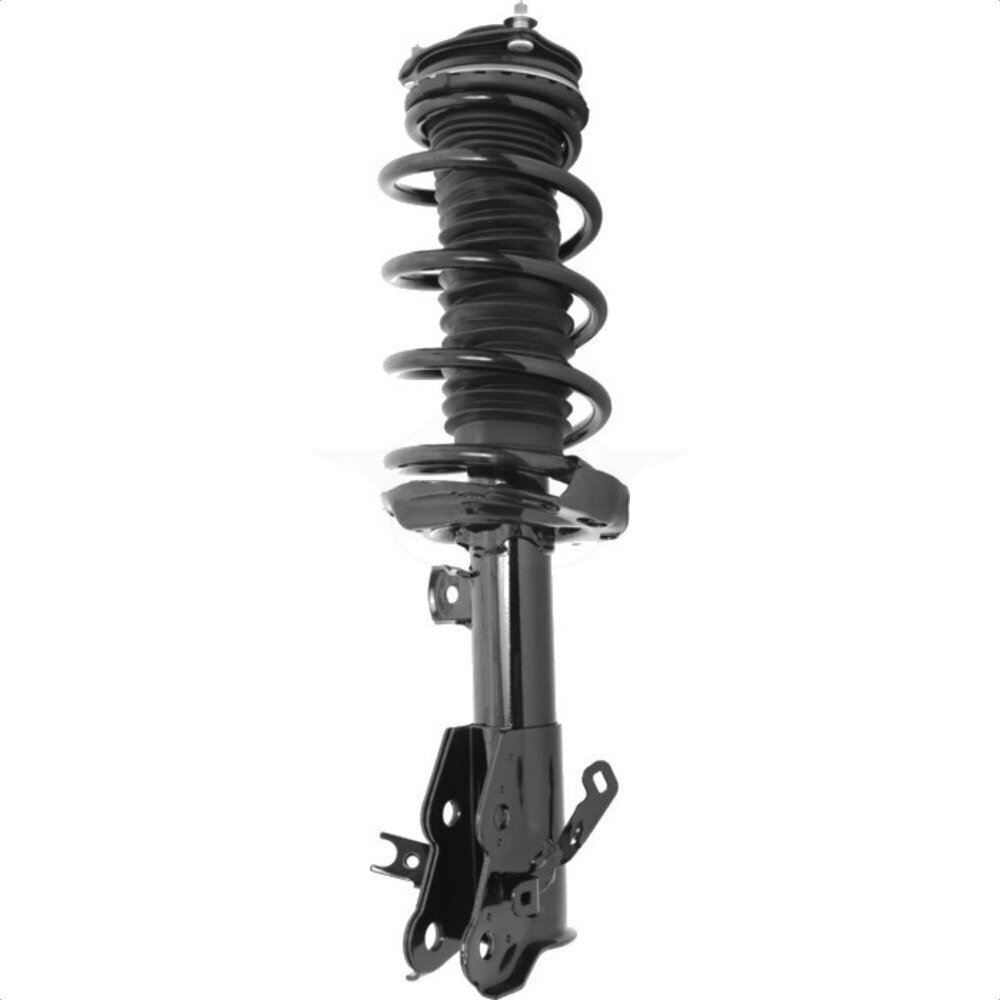 Suspension Strut Coil Spring Assembly