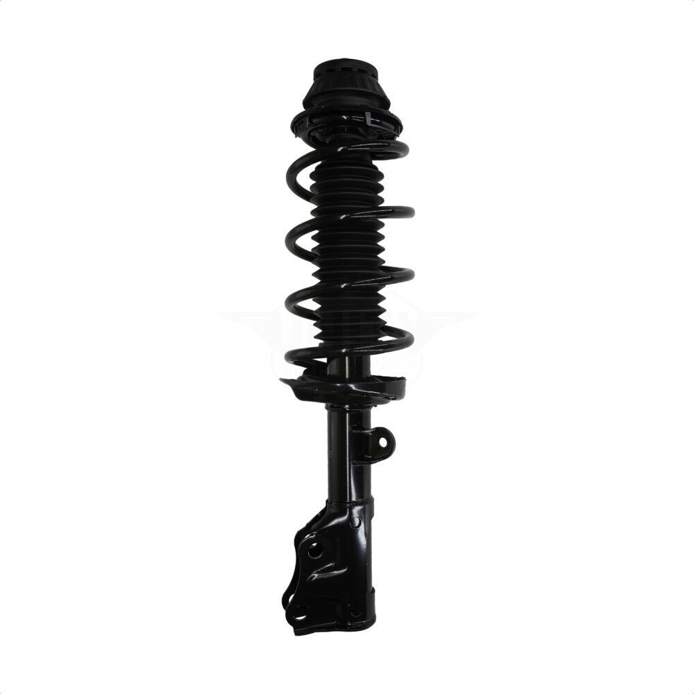 Suspension Strut Coil Spring Assembly