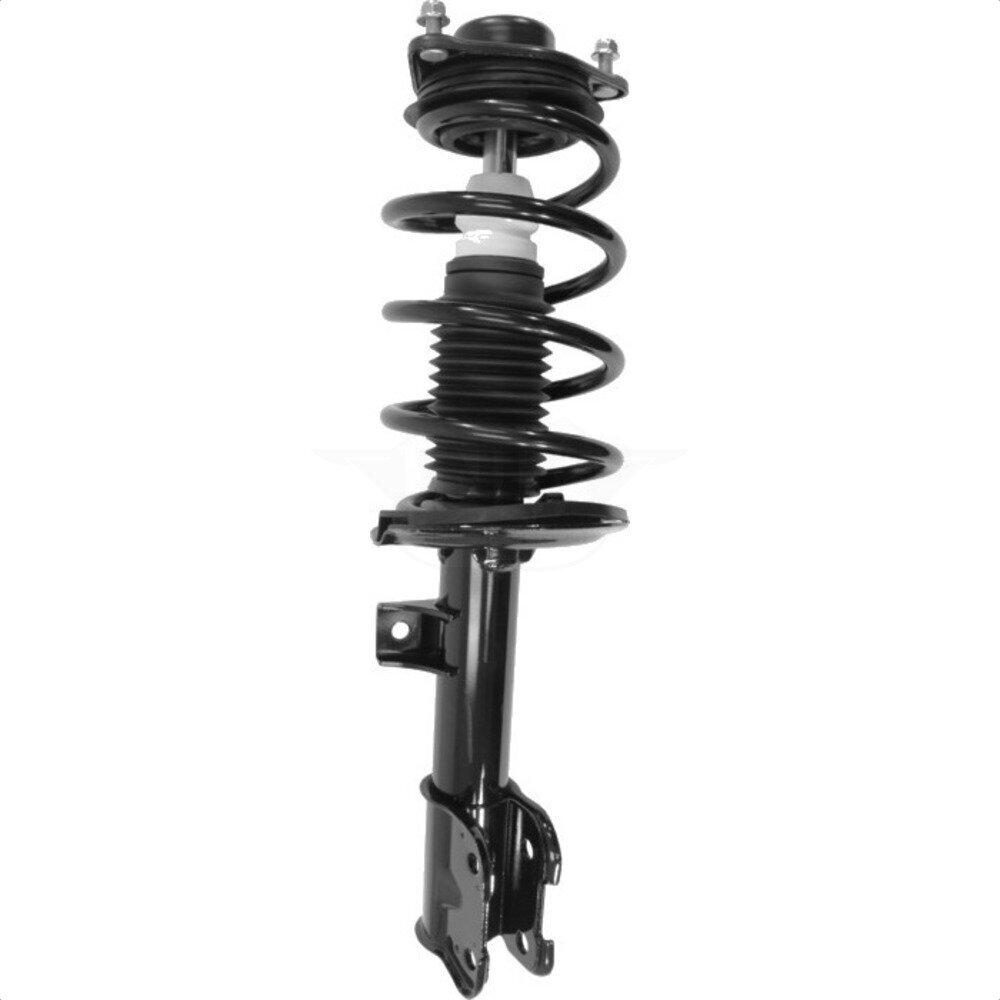 Suspension Strut Coil Spring Assembly