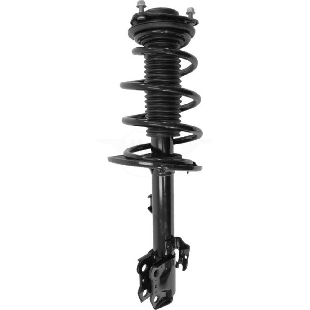 Suspension Strut Coil Spring Assembly