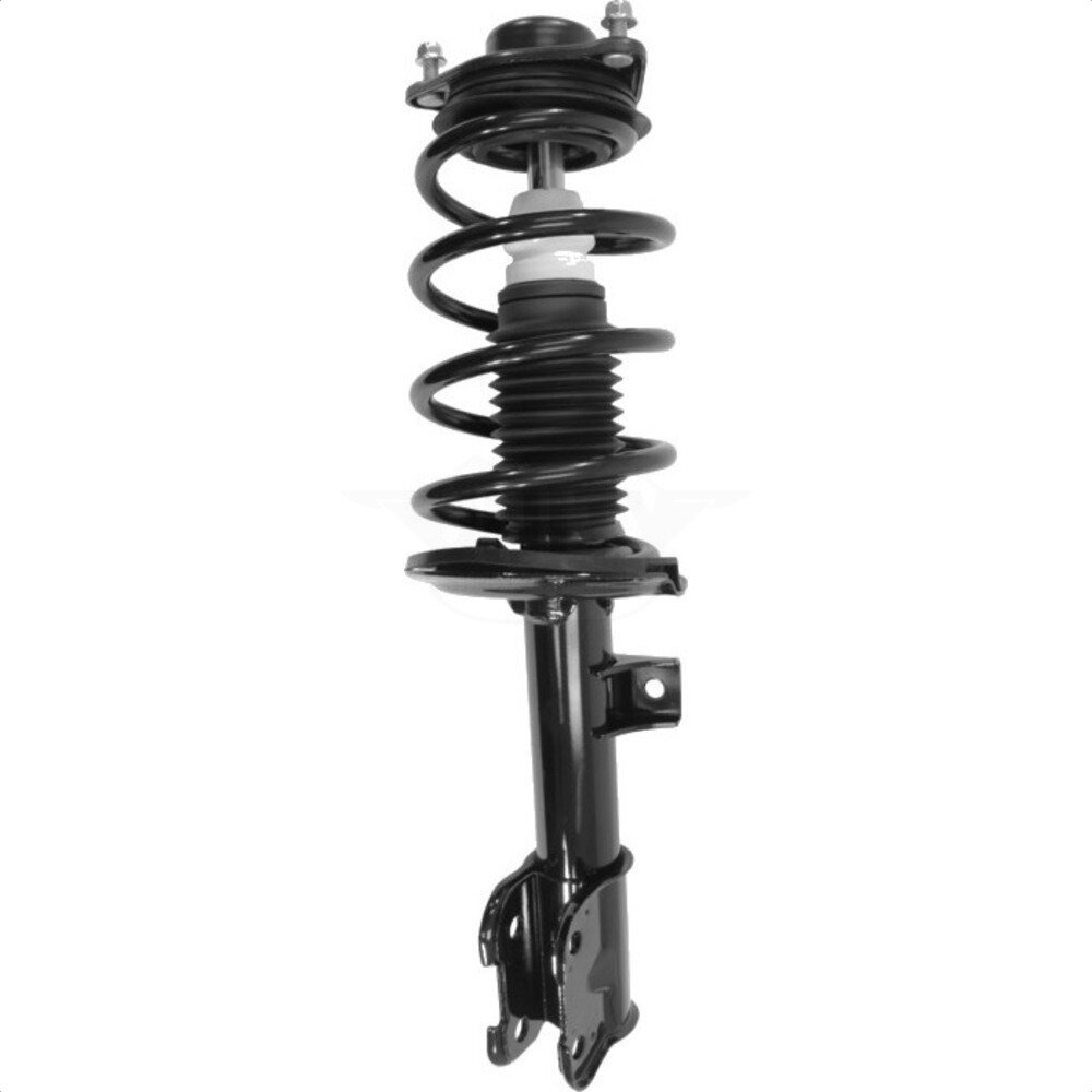Suspension Strut Coil Spring Assembly