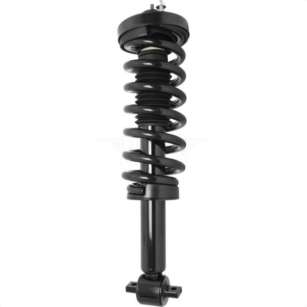 Suspension Strut Coil Spring Assembly
