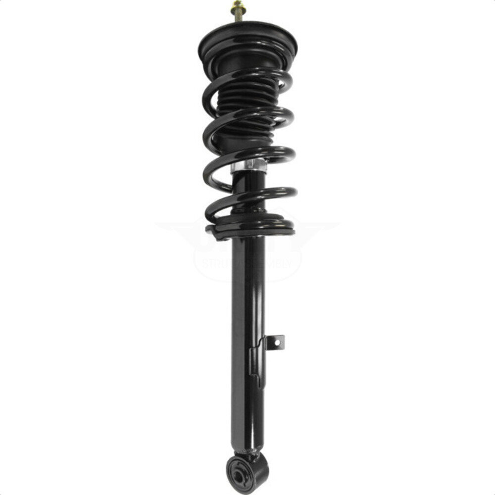 Suspension Strut Coil Spring Assembly