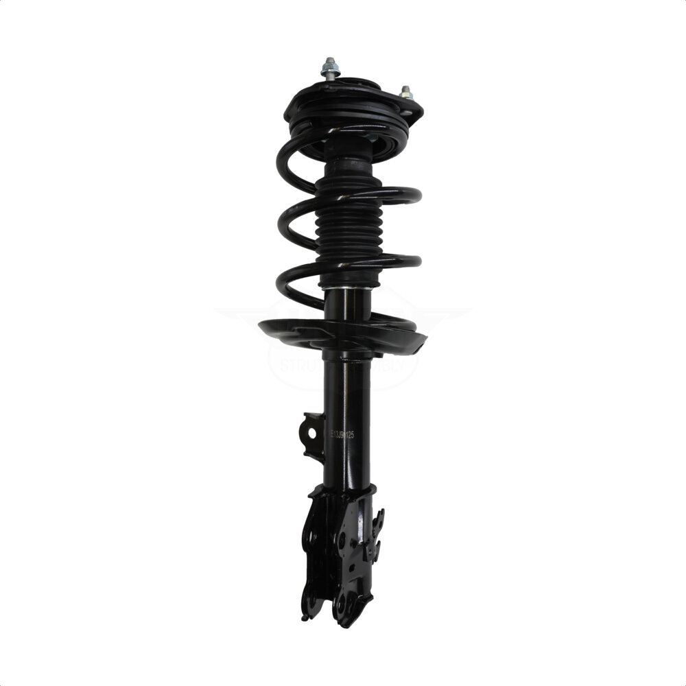 Suspension Strut Coil Spring Assembly
