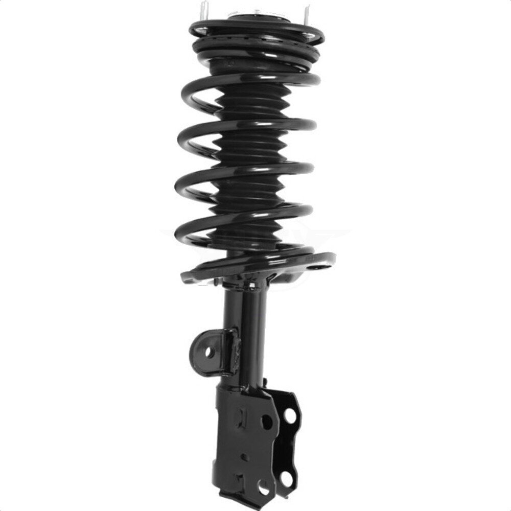 Suspension Strut Coil Spring Assembly