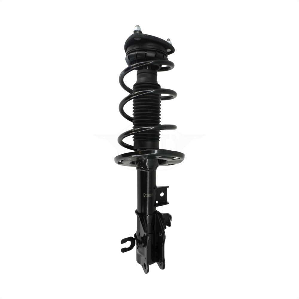 Suspension Strut Coil Spring Assembly