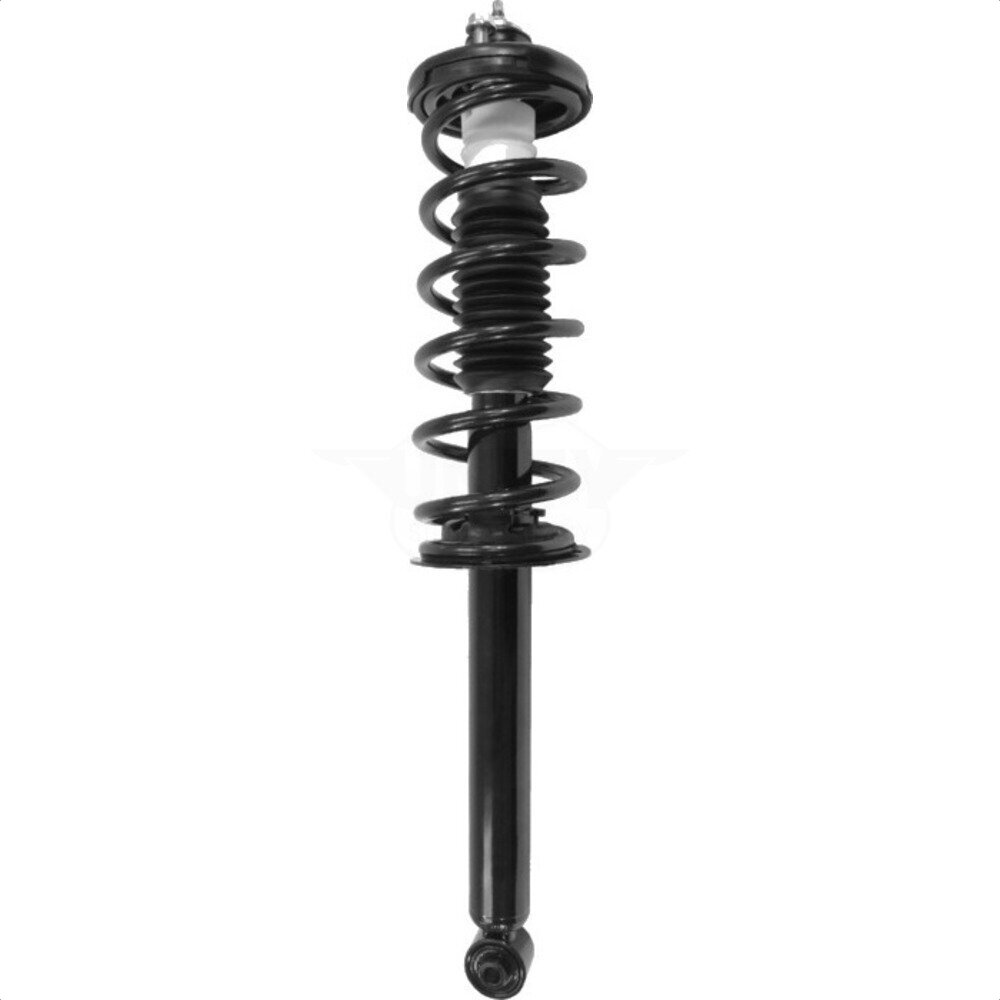 Suspension Strut Coil Spring Assembly