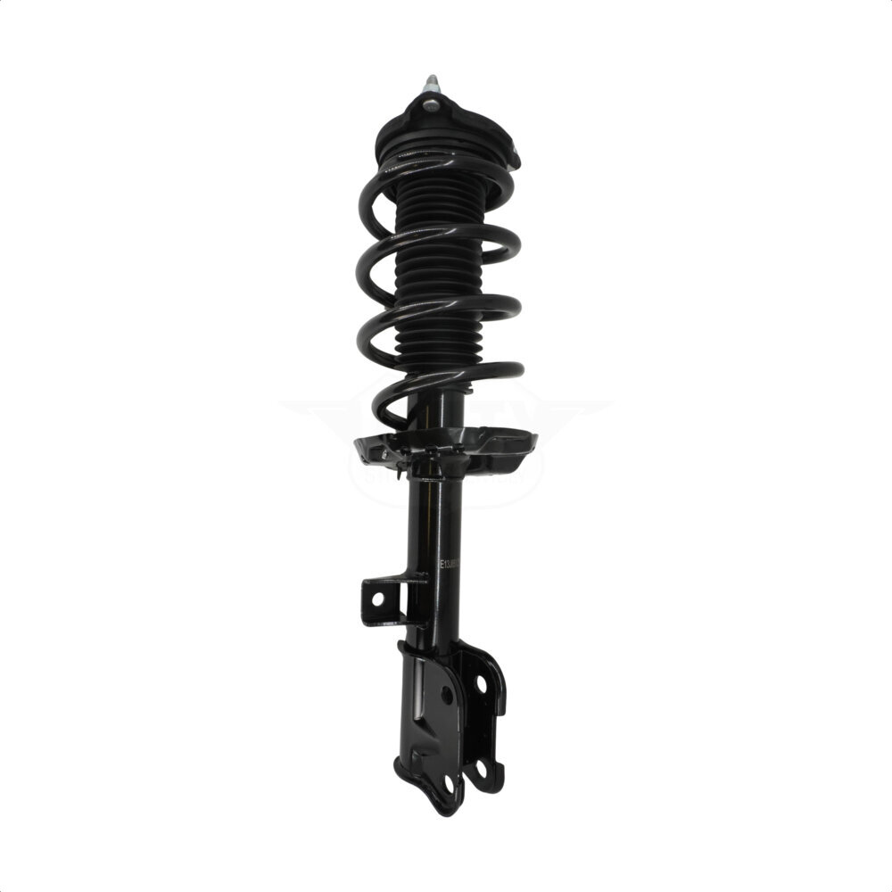 Suspension Strut Coil Spring Assembly