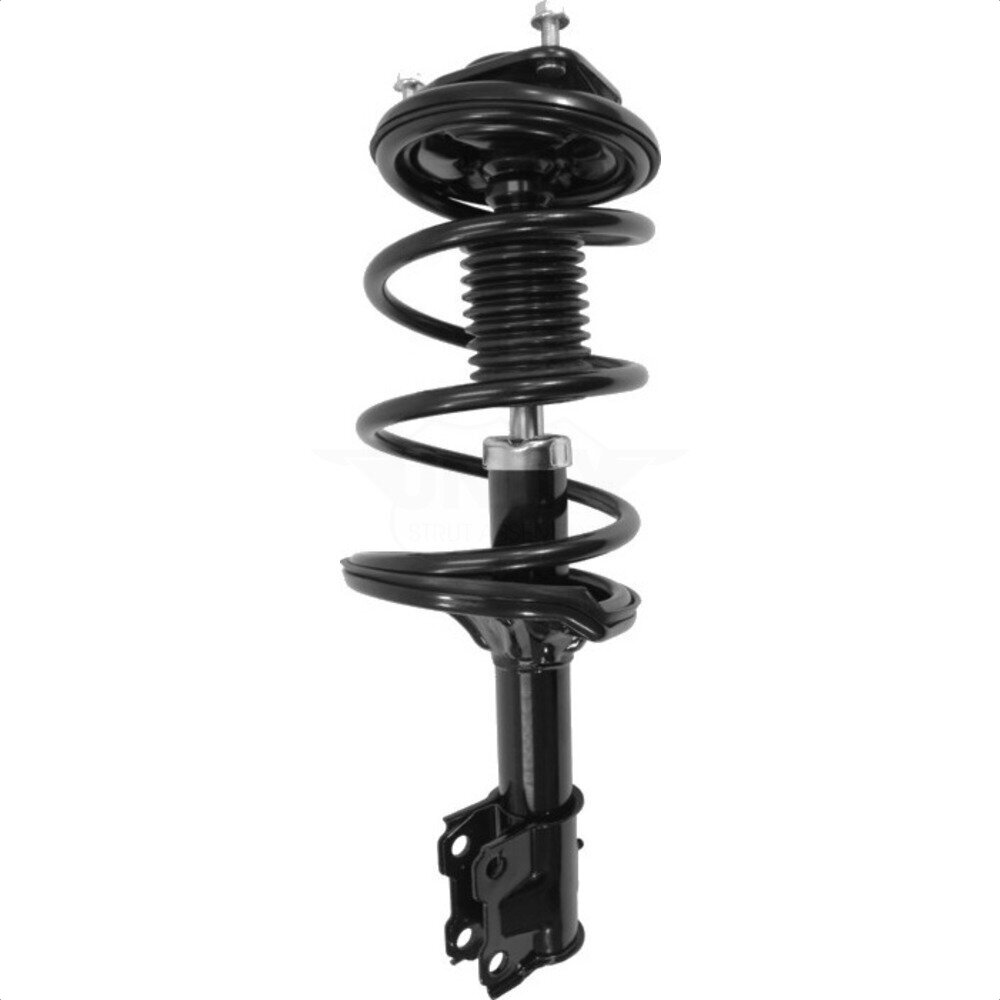 Suspension Strut Coil Spring Assembly