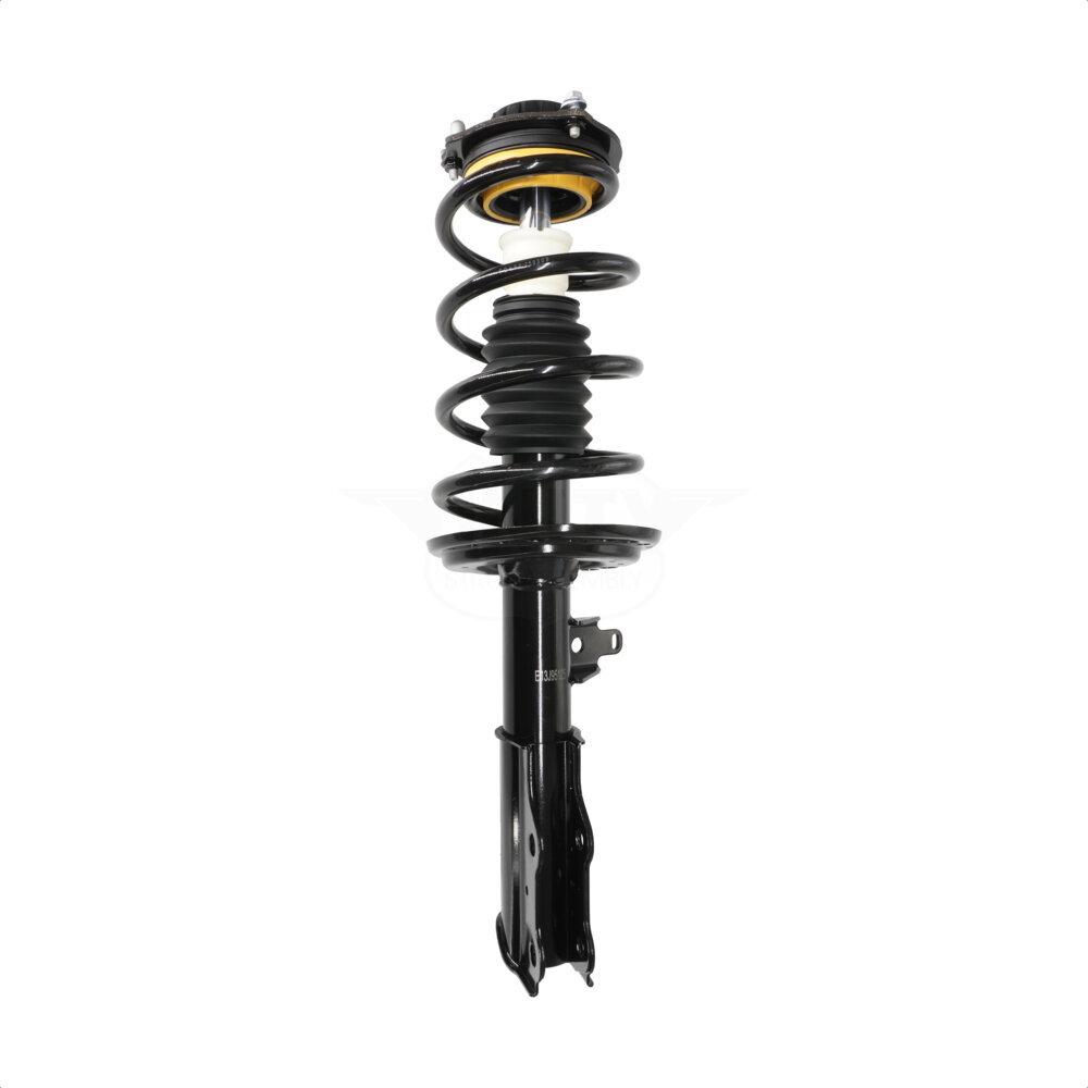 Suspension Strut Coil Spring Assembly