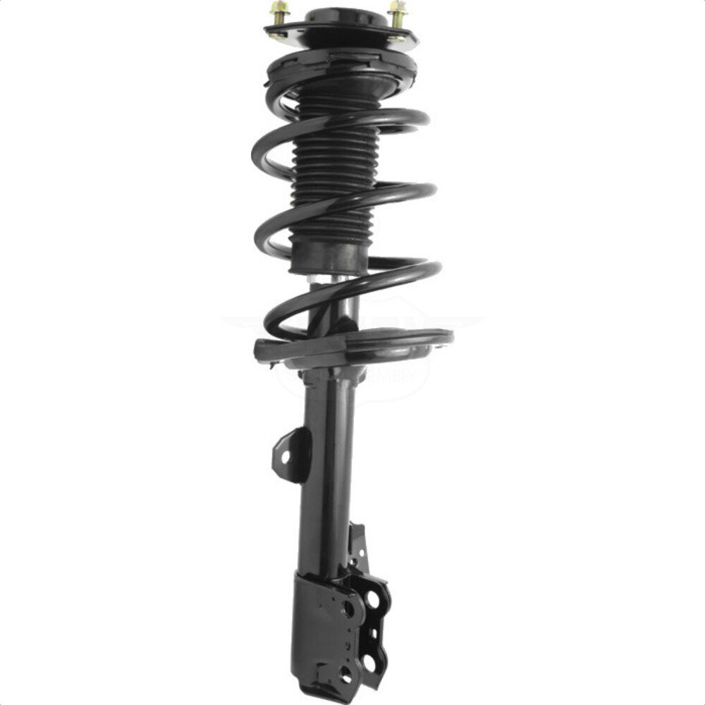 Suspension Strut Coil Spring Assembly