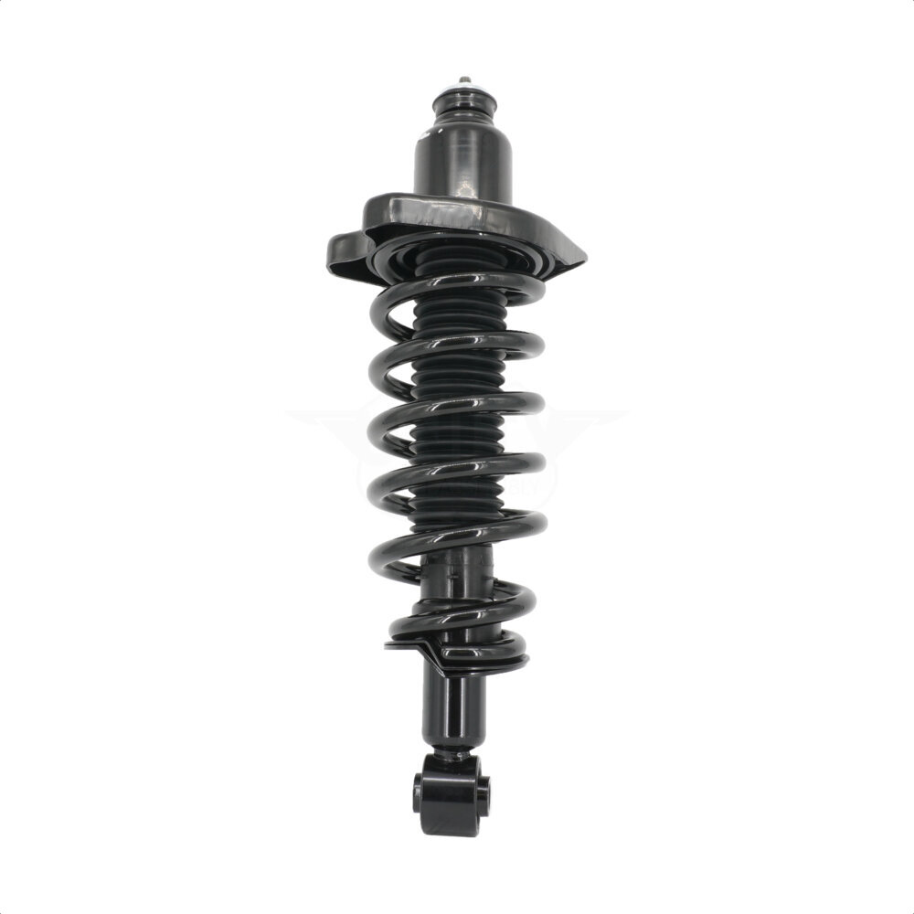Suspension Strut Coil Spring Assembly