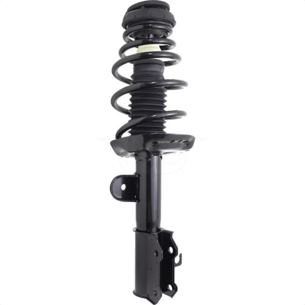 Suspension Strut Coil Spring Assembly