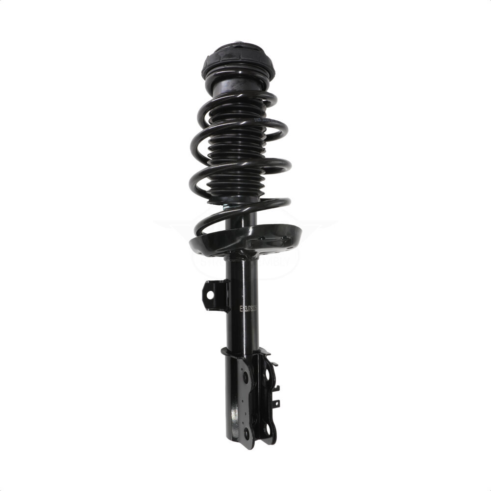 Suspension Strut Coil Spring Assembly