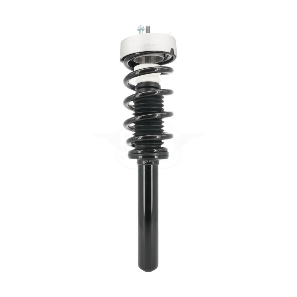 Suspension Strut Coil Spring Assembly