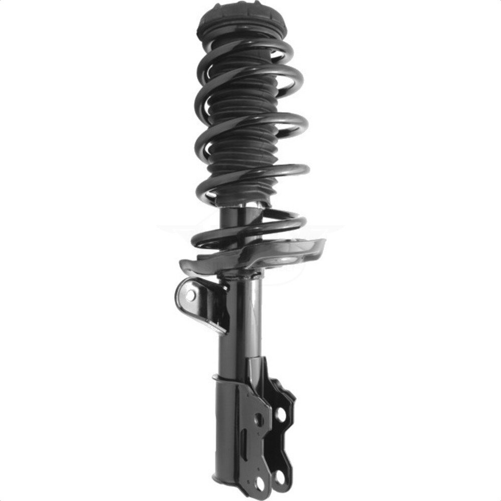 Suspension Strut Coil Spring Assembly