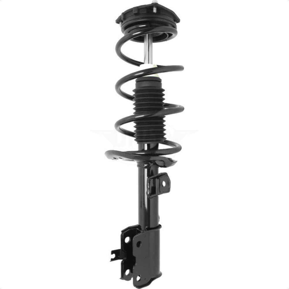 Suspension Strut Coil Spring Assembly