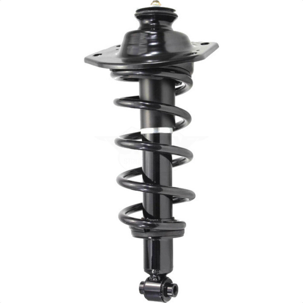 Suspension Strut Coil Spring Assembly