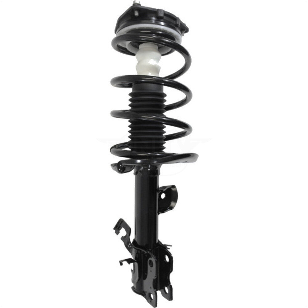 Suspension Strut Coil Spring Assembly