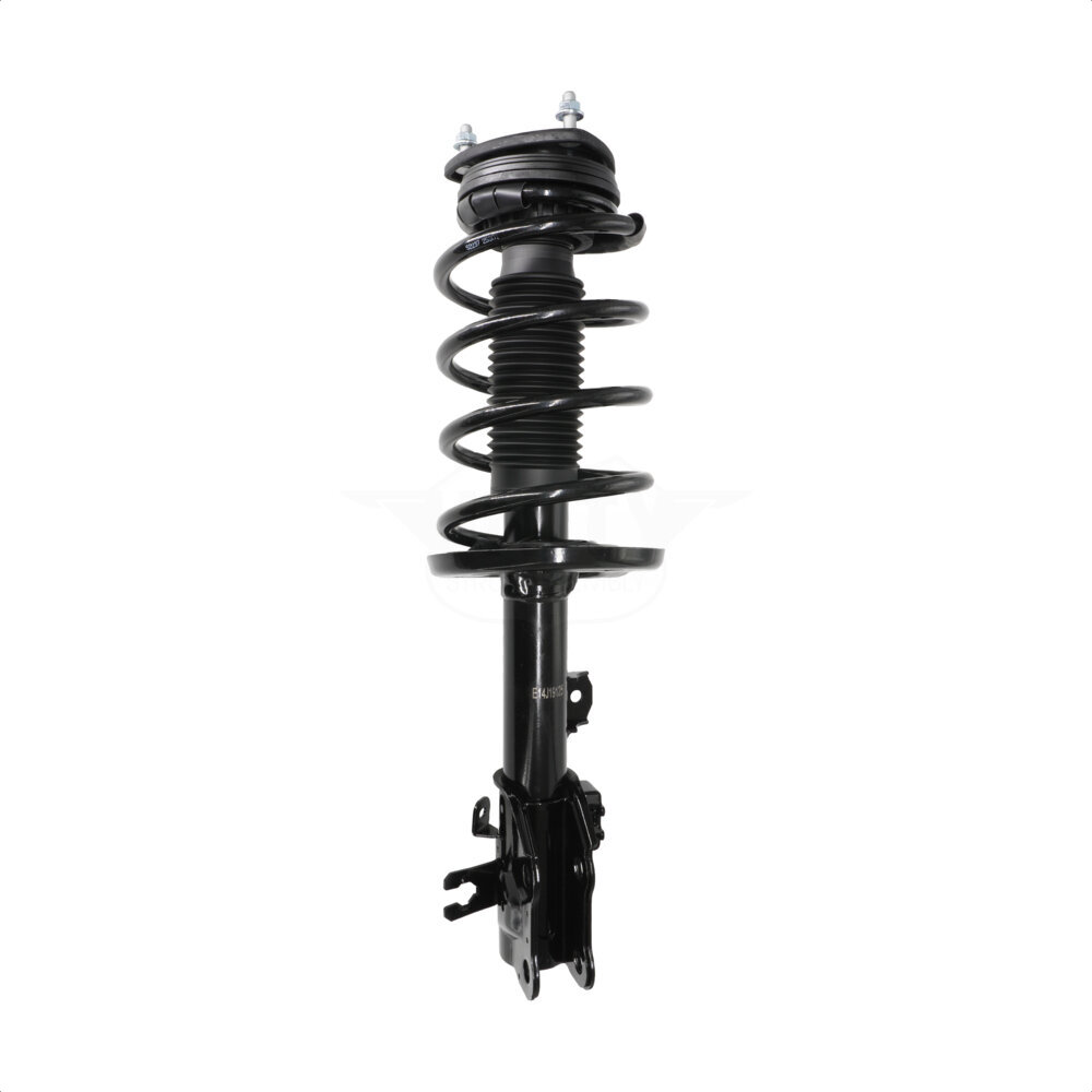 Suspension Strut Coil Spring Assembly