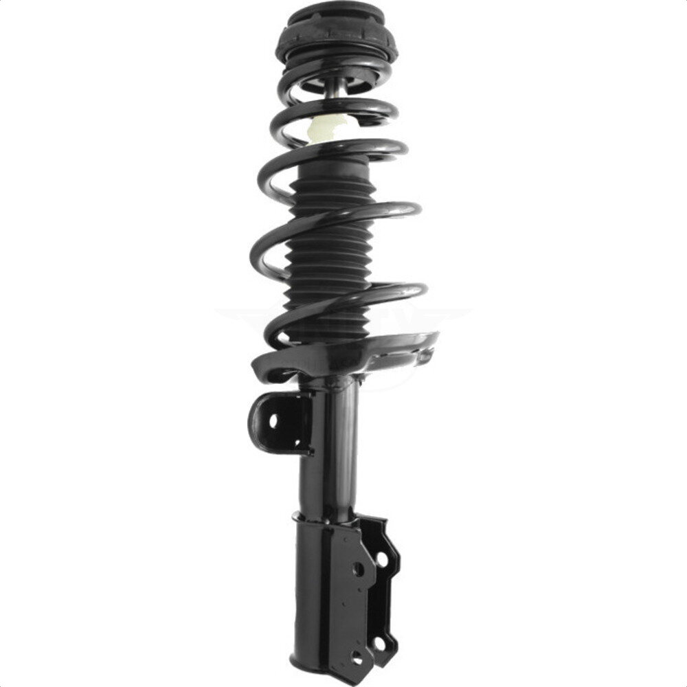 Suspension Strut Coil Spring Assembly