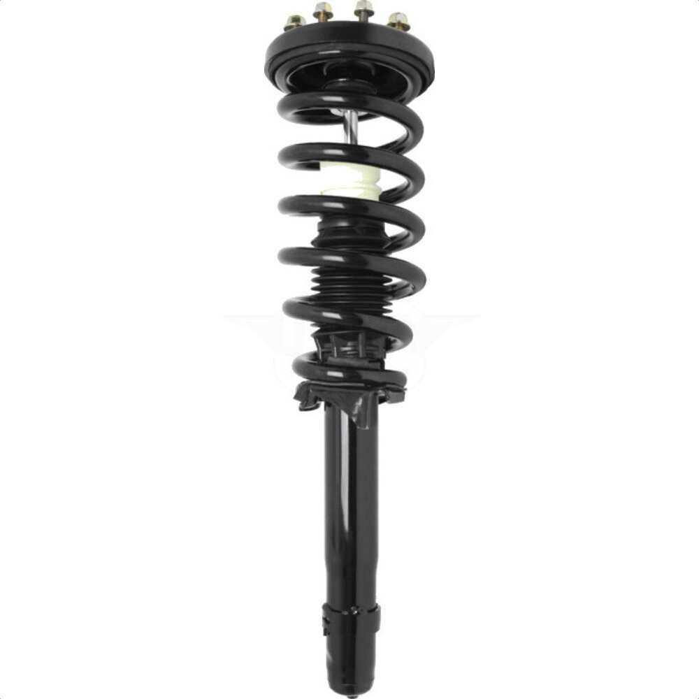 Suspension Strut Coil Spring Assembly
