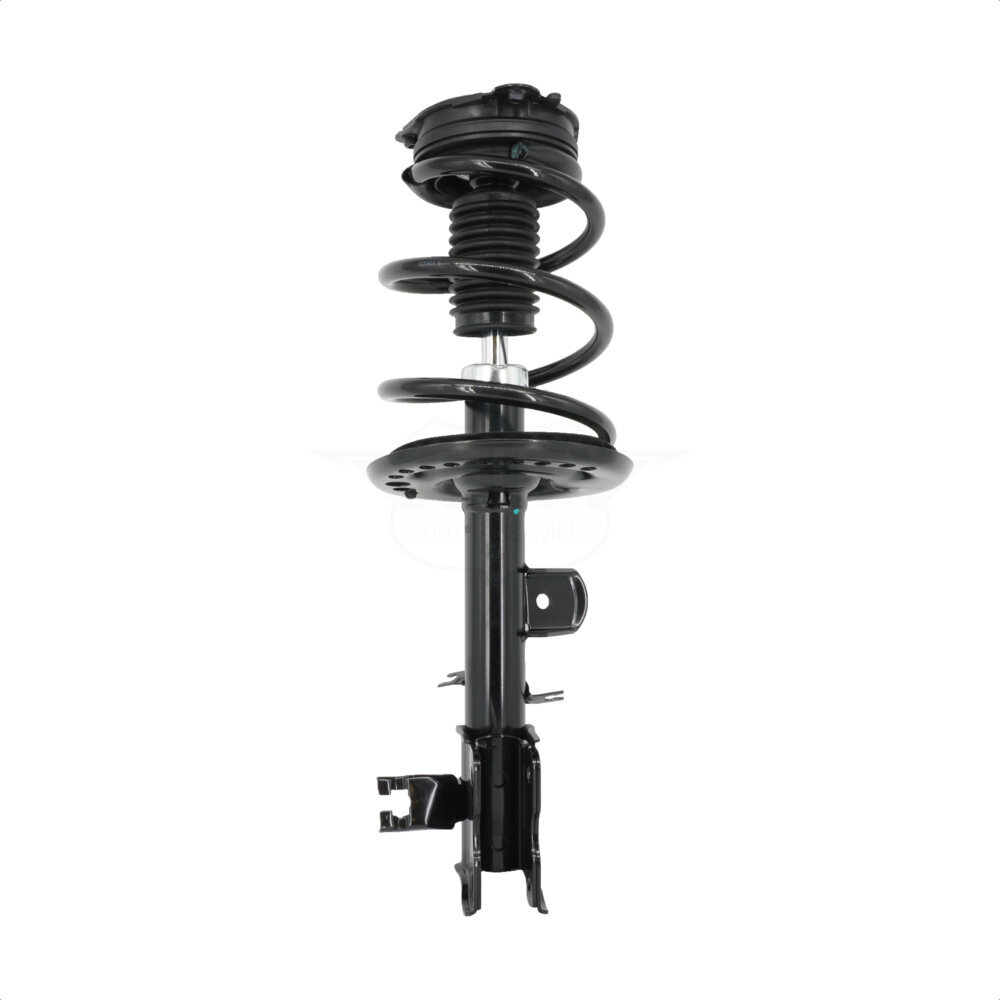 Suspension Strut Coil Spring Assembly