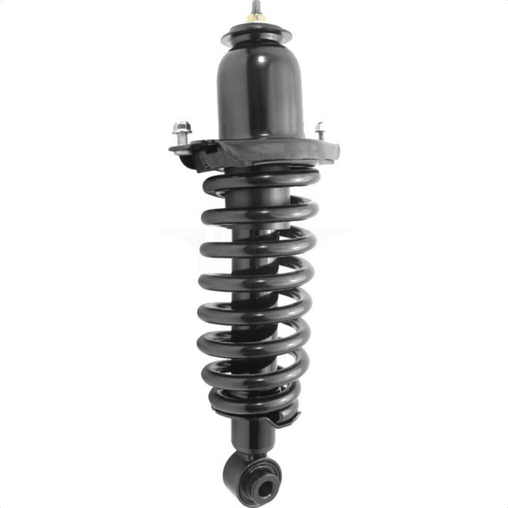Suspension Strut Coil Spring Assembly