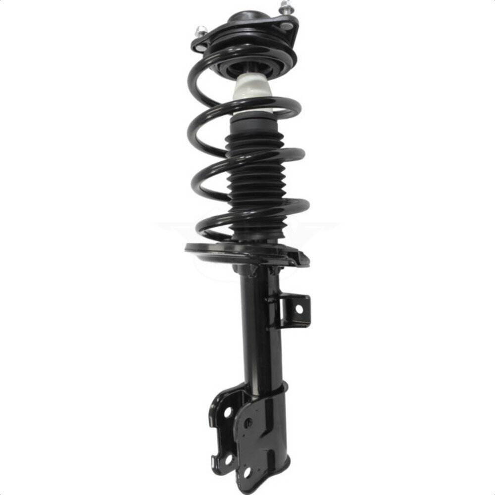 Suspension Strut Coil Spring Assembly