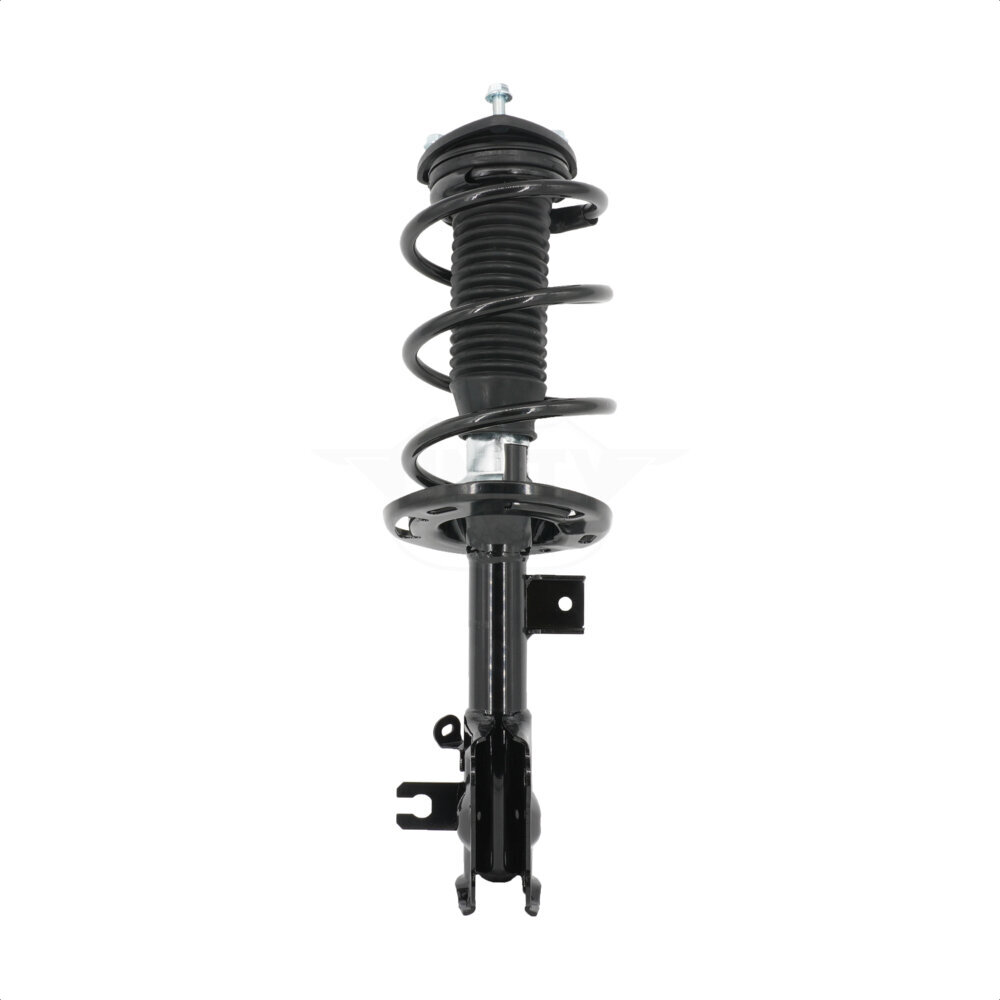 Suspension Strut Coil Spring Assembly
