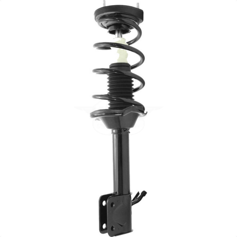 Suspension Strut Coil Spring Assembly