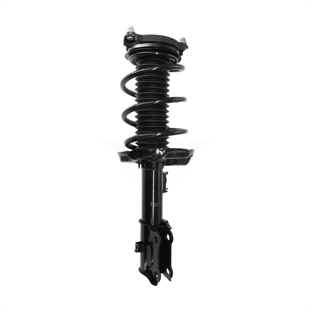 Suspension Strut Coil Spring Assembly