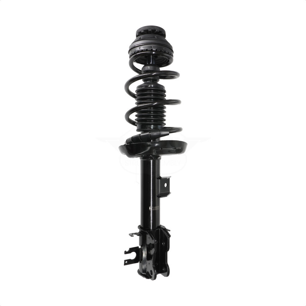 Suspension Strut Coil Spring Assembly