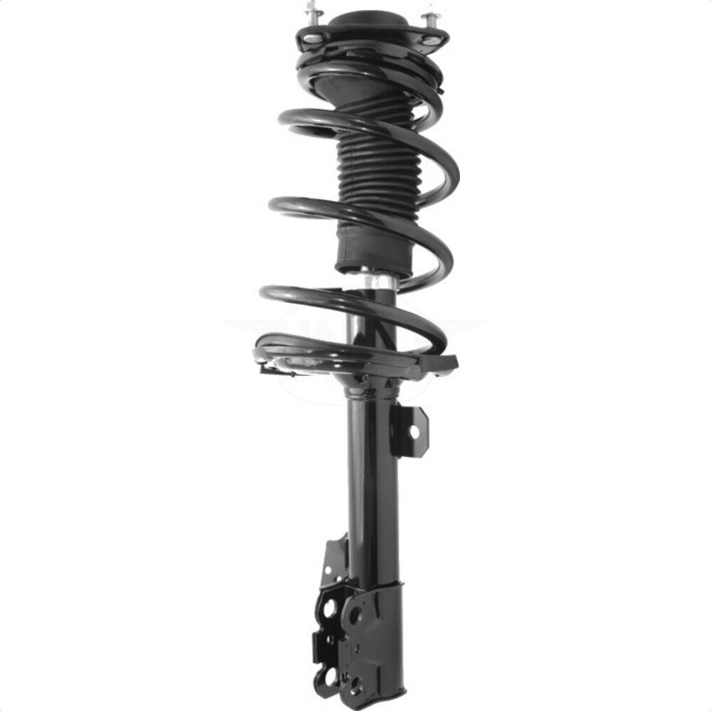 Suspension Strut Coil Spring Assembly