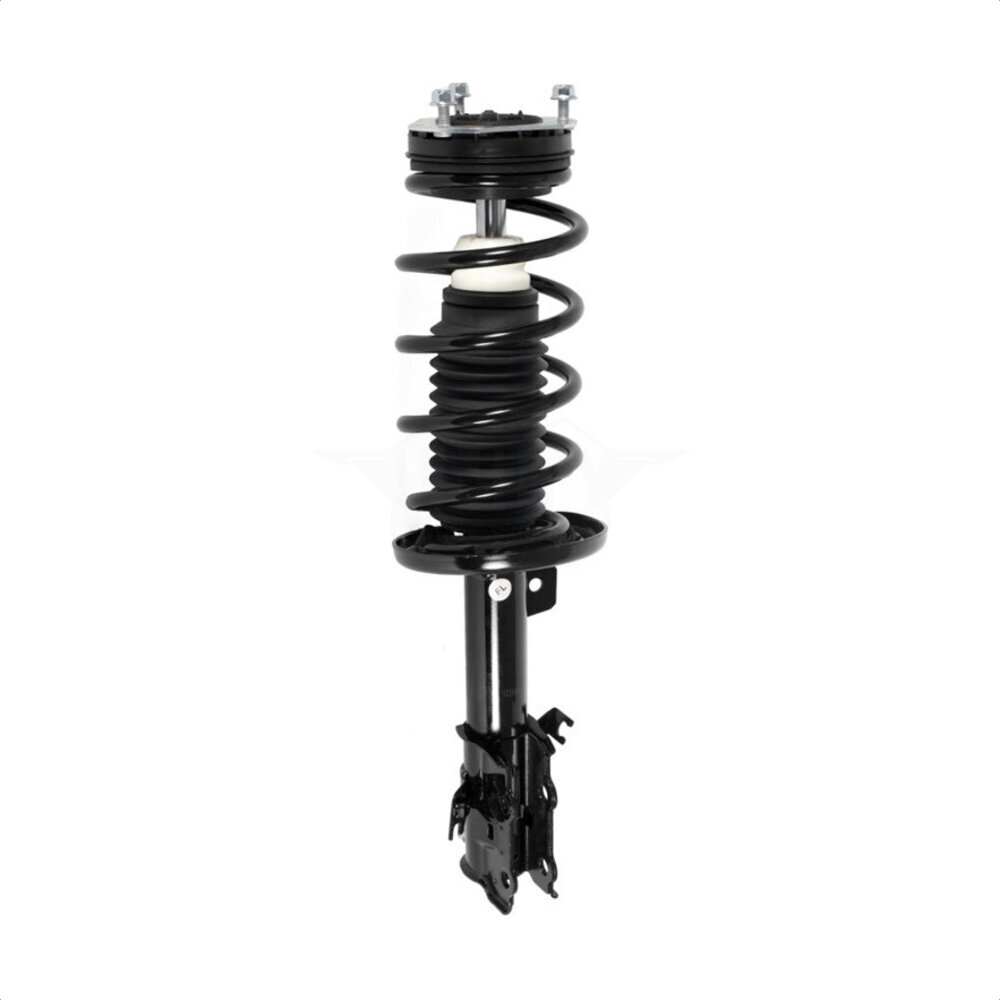 Suspension Strut Coil Spring Assembly