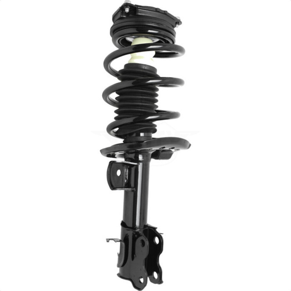 Suspension Strut Coil Spring Assembly
