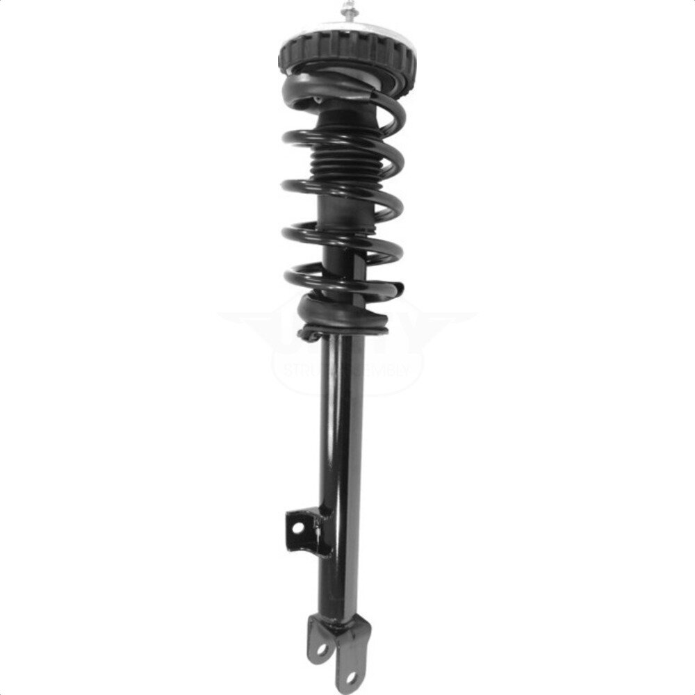 Suspension Strut Coil Spring Assembly
