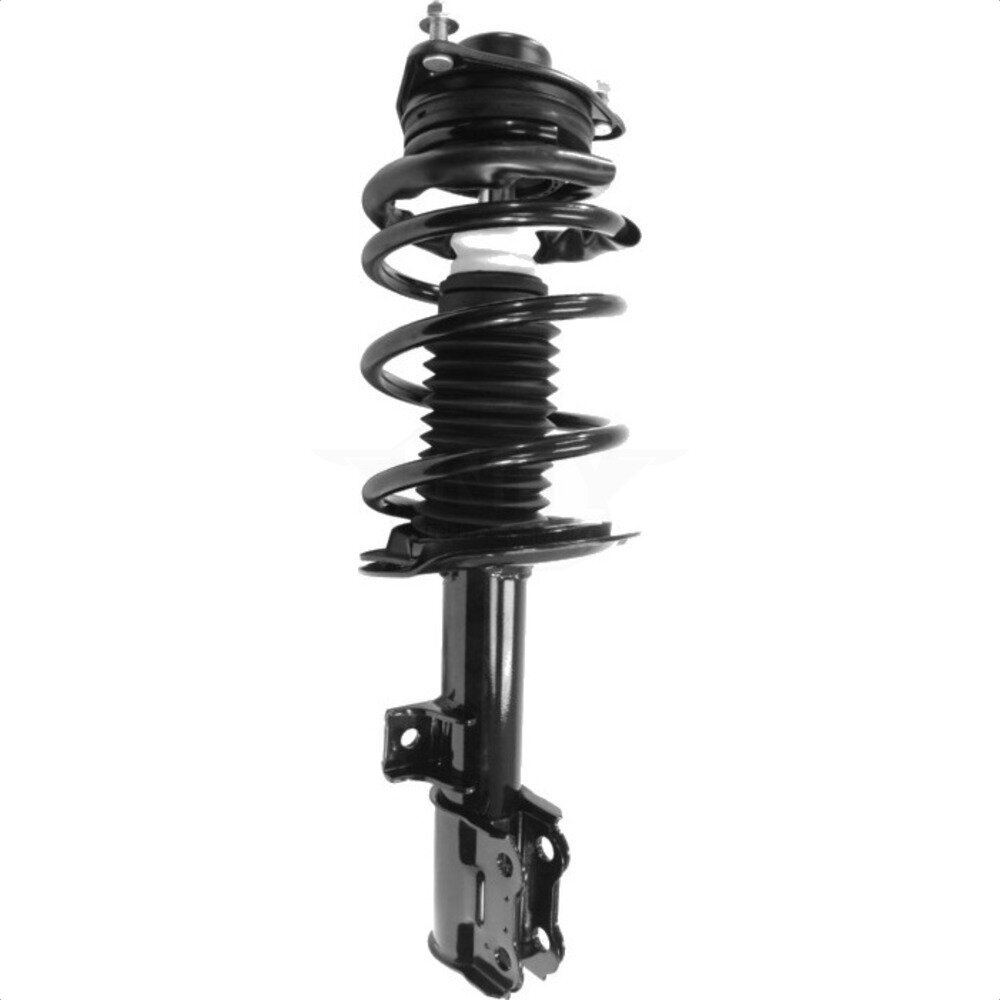 Suspension Strut Coil Spring Assembly
