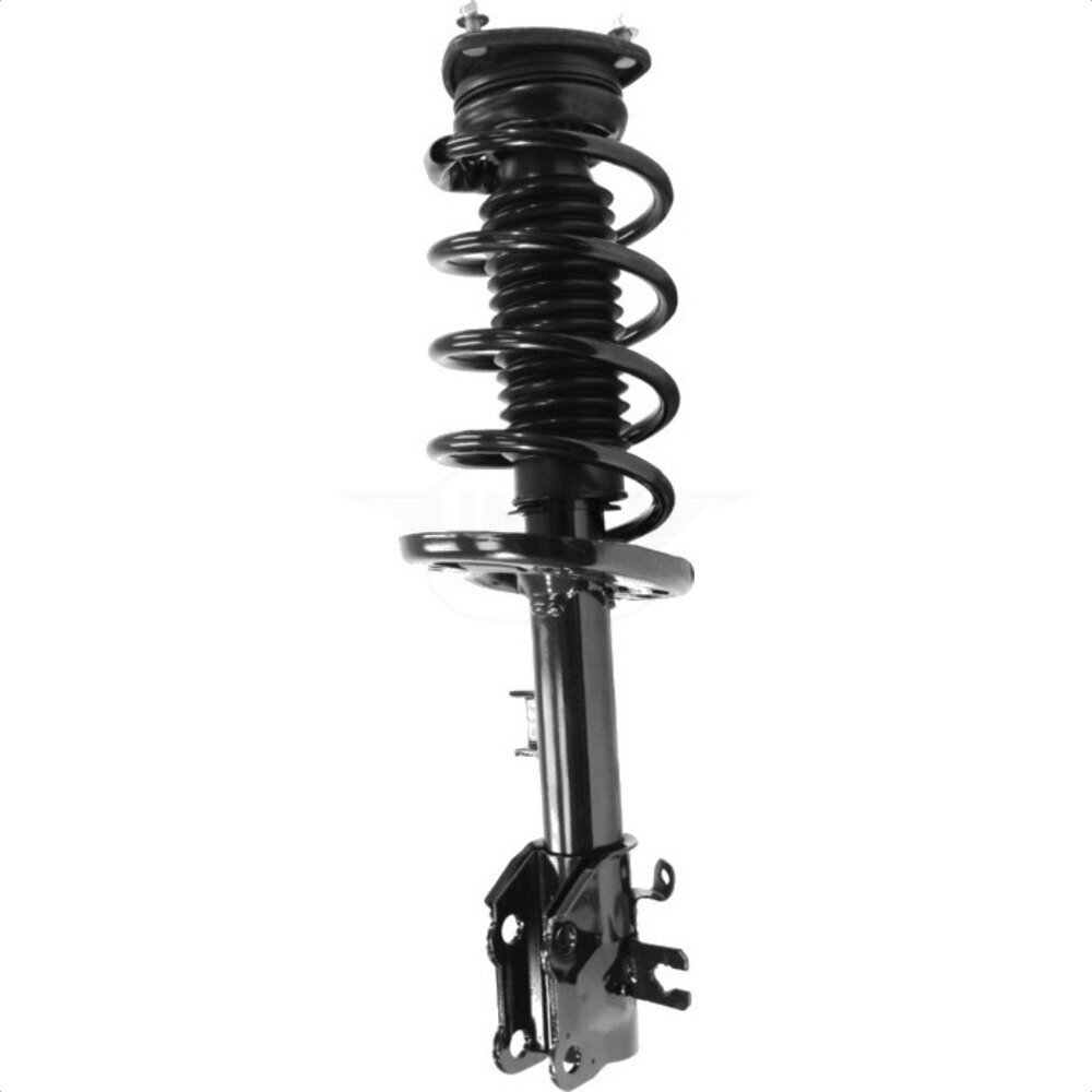 Suspension Strut Coil Spring Assembly