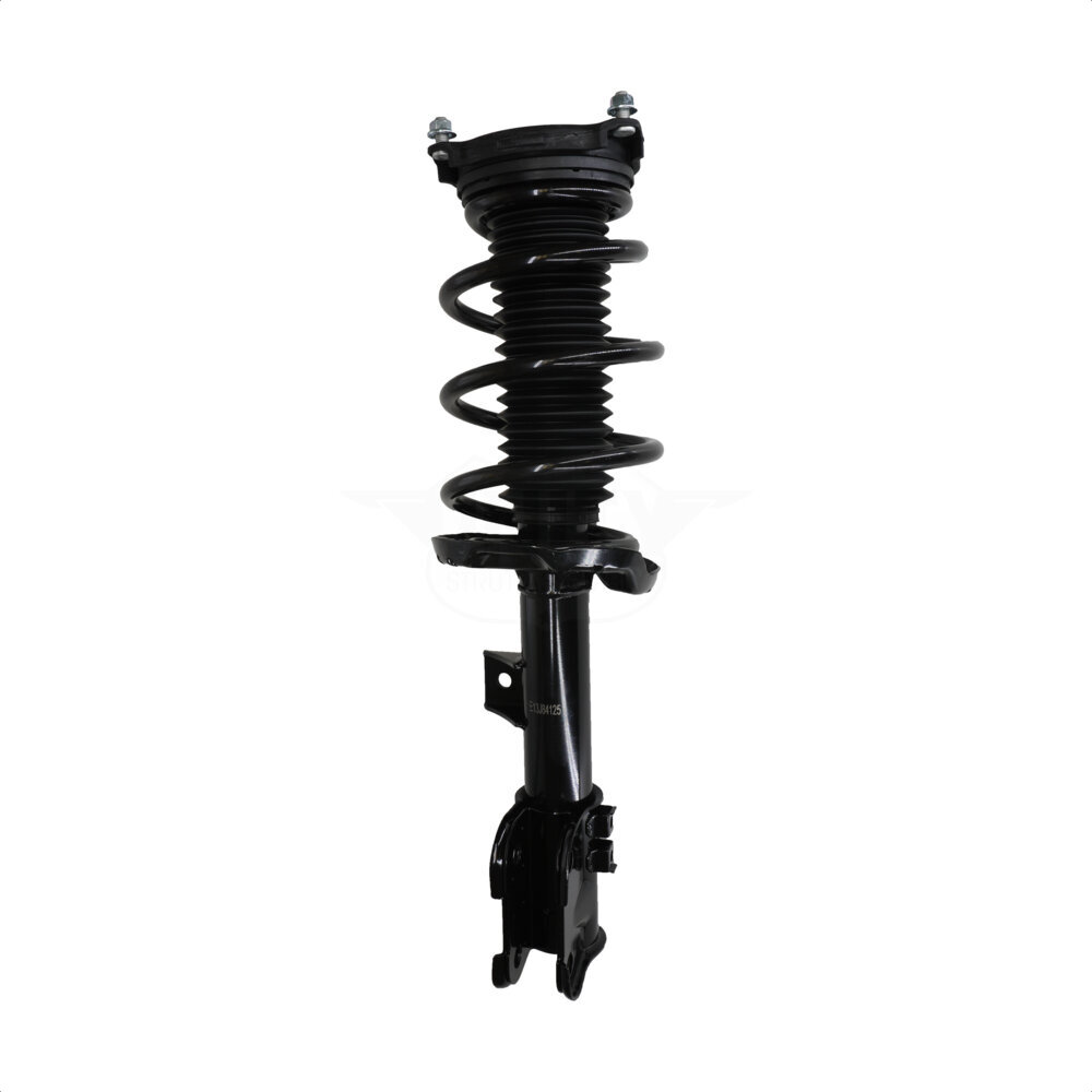 Suspension Strut Coil Spring Assembly