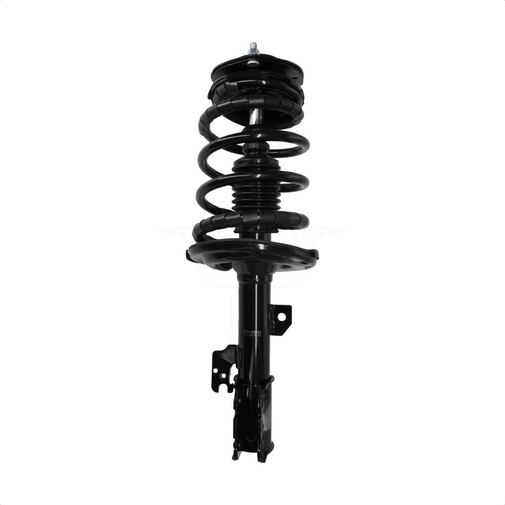 Suspension Strut Coil Spring Assembly