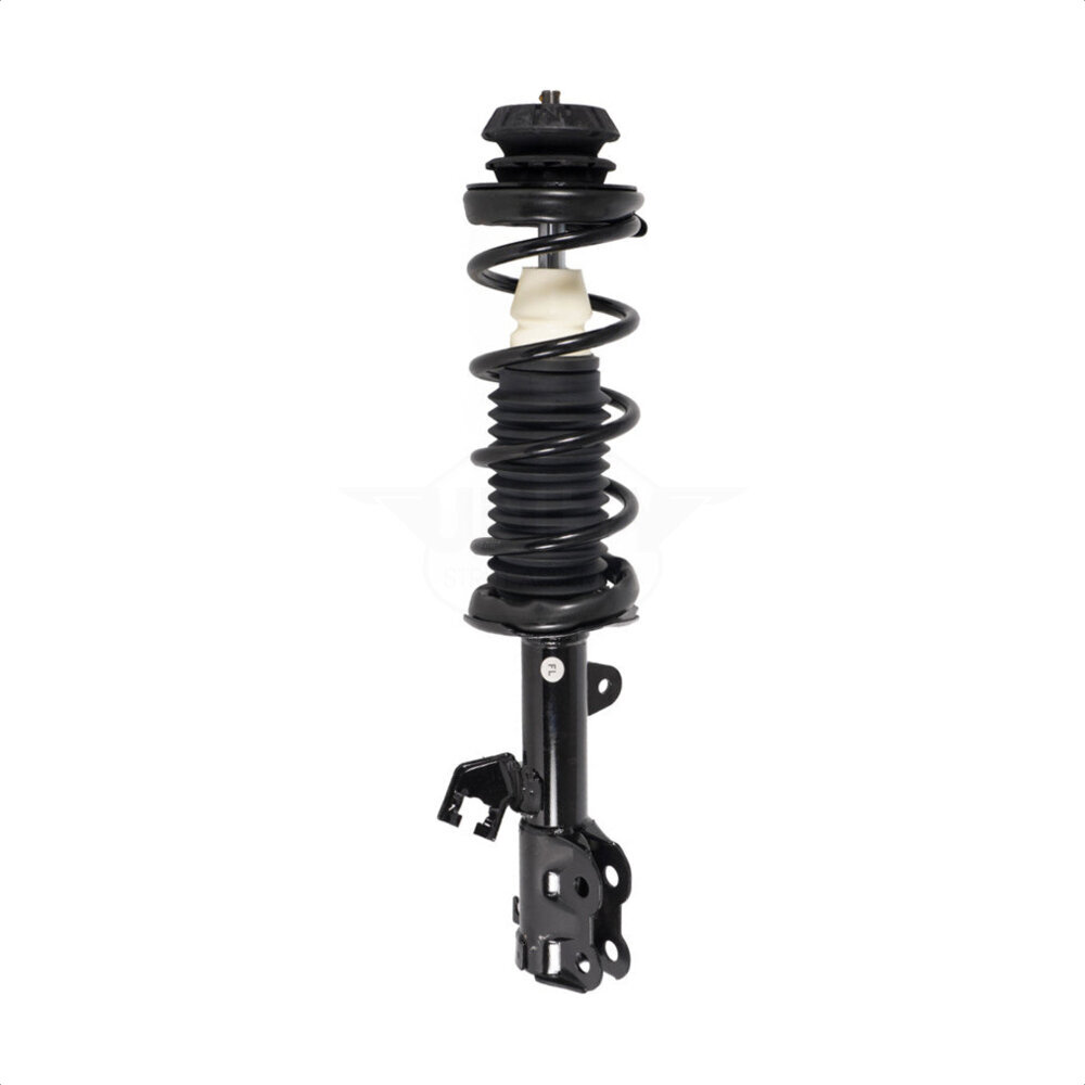 Suspension Strut Coil Spring Assembly