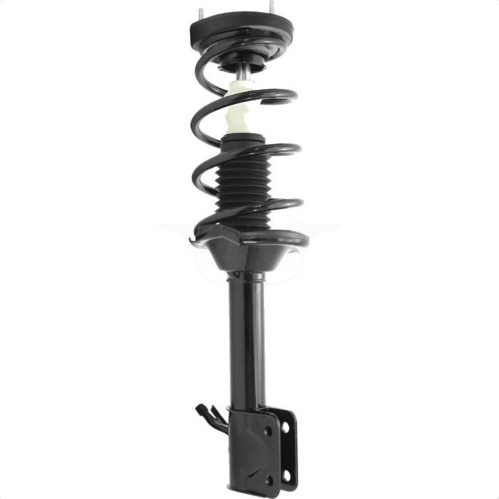Suspension Strut Coil Spring Assembly