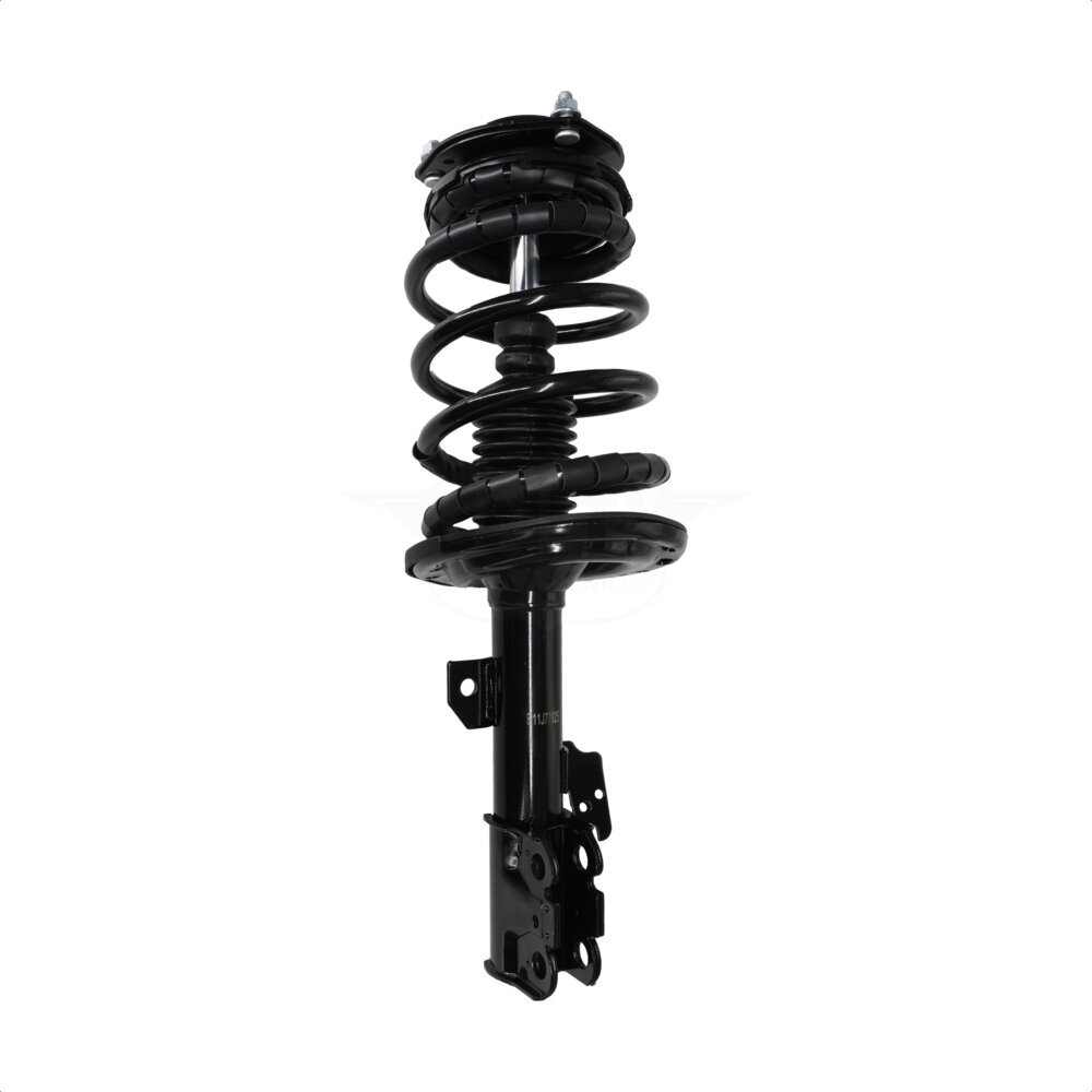 Suspension Strut Coil Spring Assembly