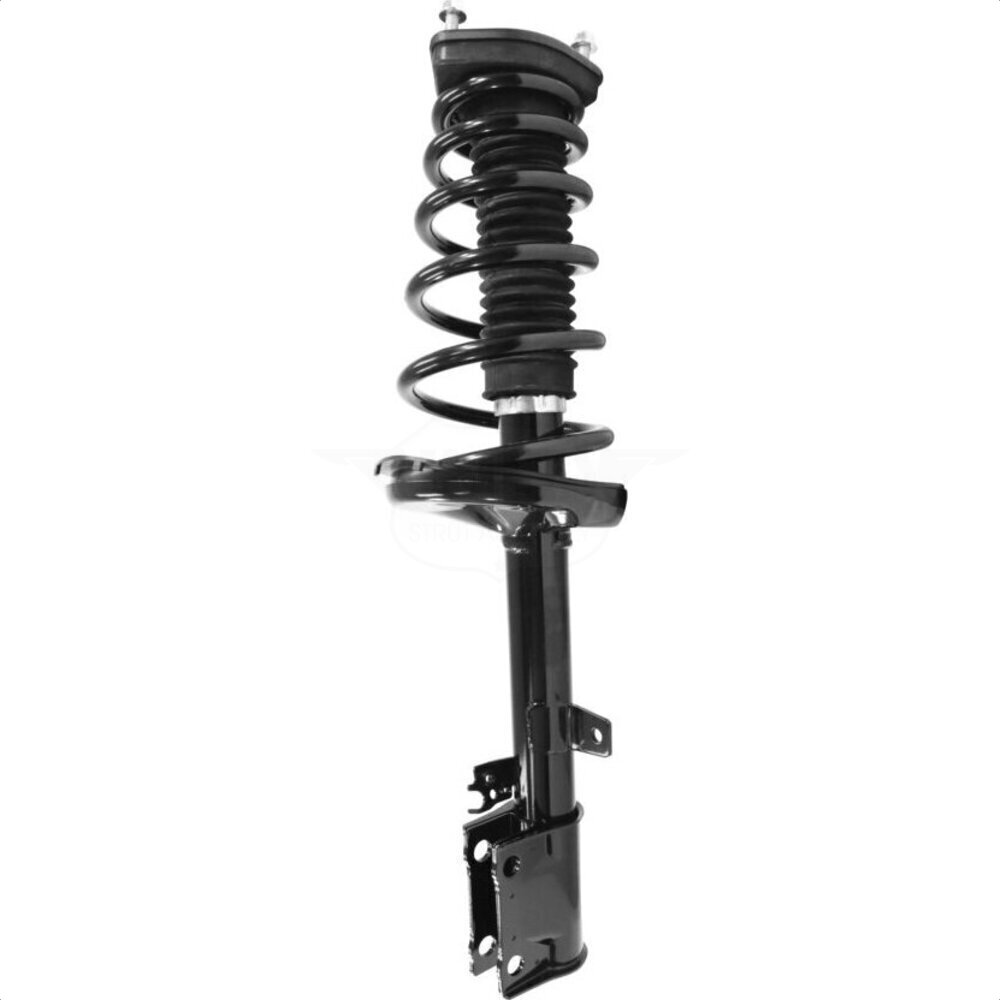 Suspension Strut Coil Spring Assembly